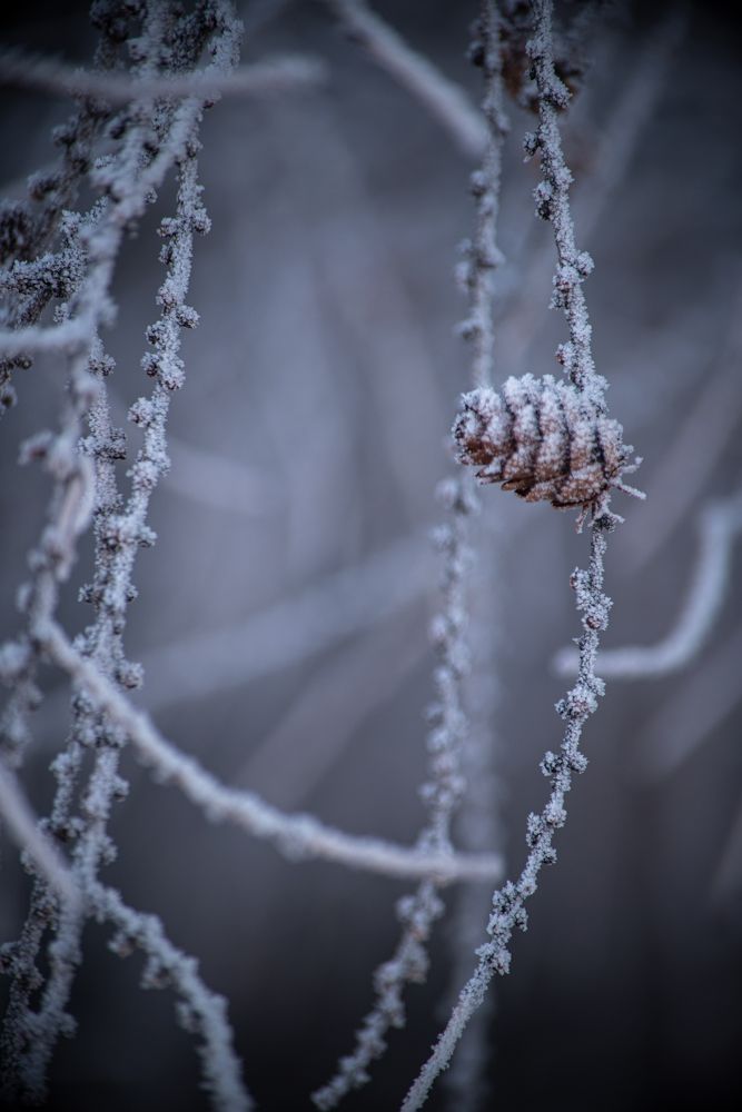 Photograph by Марк Кириченко