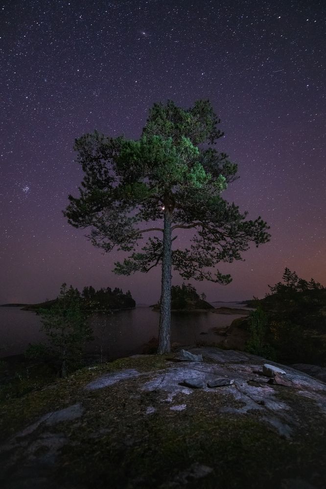 Photograph by Антон Кононов