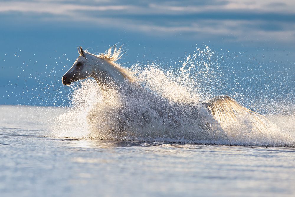 Водная стихия