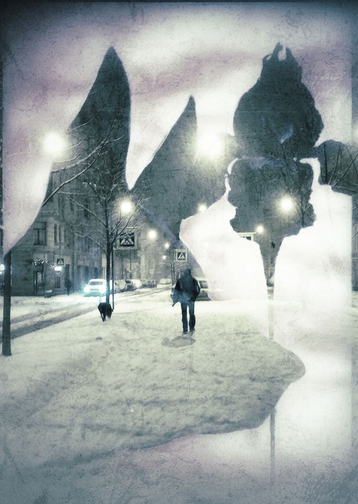 Photograph by Елена Амосова