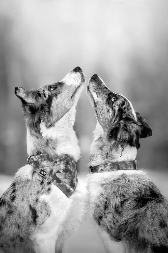 Photograph by Lucia Drietomska