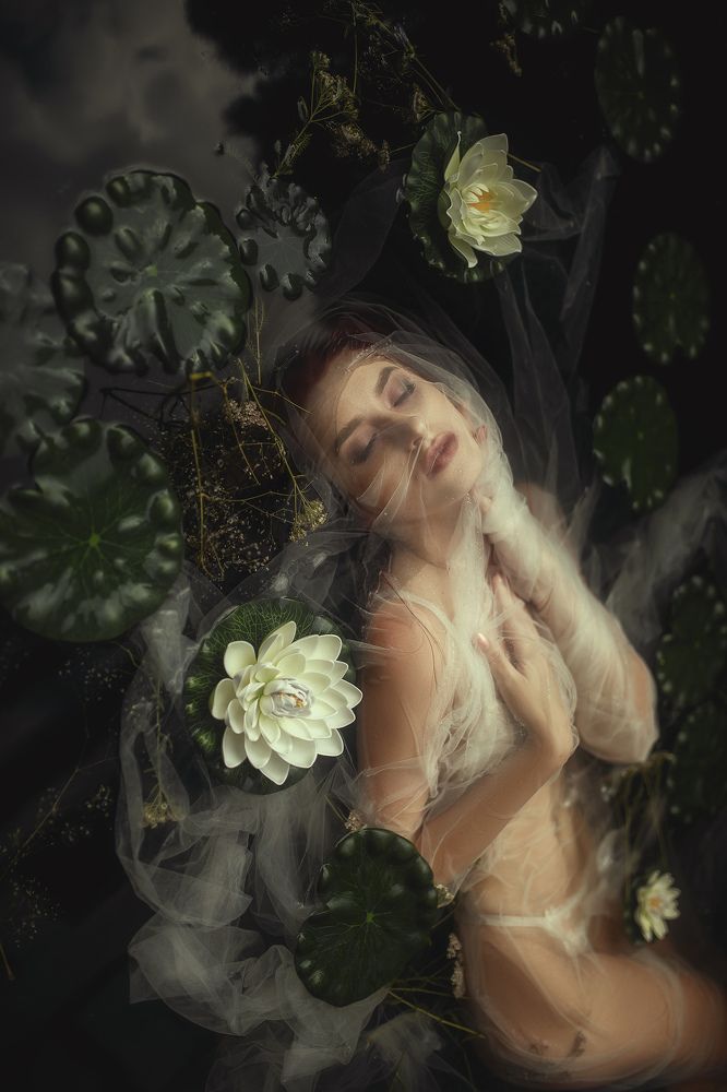 Photograph by Алина Мур