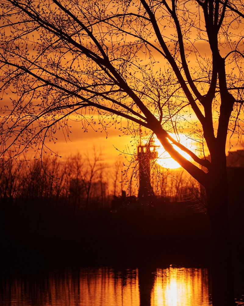 Photograph by Natalia Ghimp