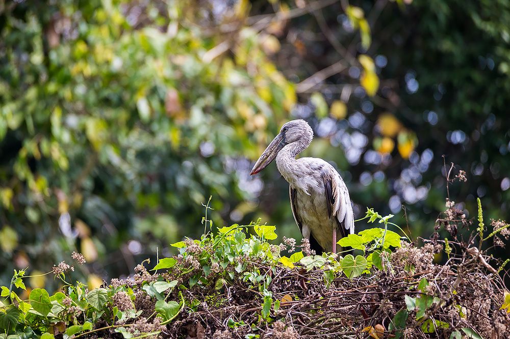 Photograph by Сергей Савви