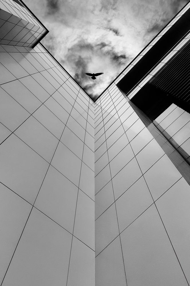 Photograph by Mohammad Dadsetan