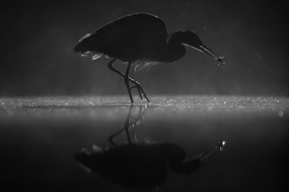 Photograph by Alena Bednářová