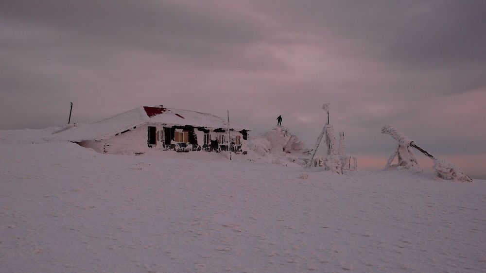 Photo #5904006