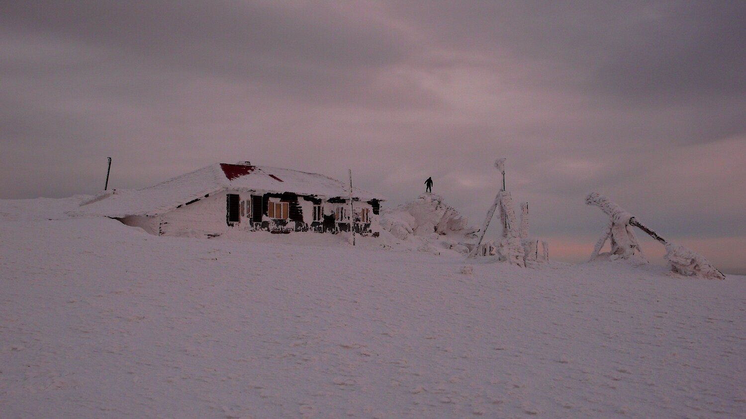 Photo #5904006