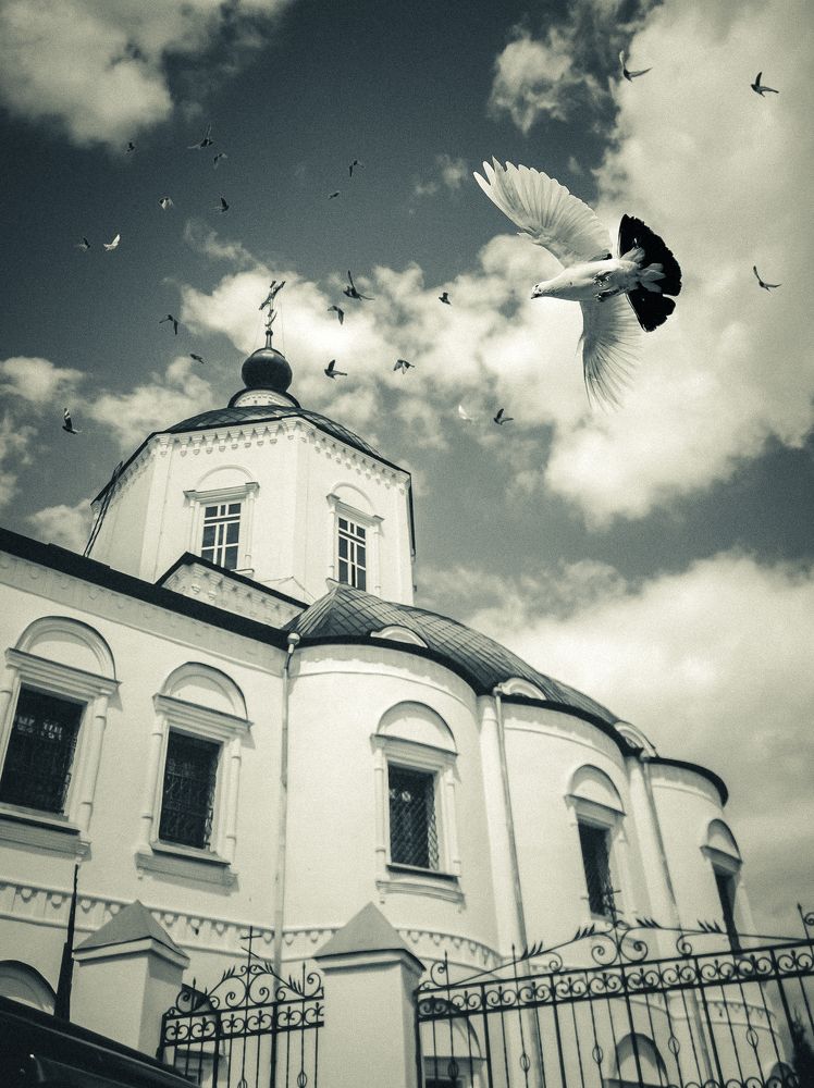 Photograph by Алексей Стариков