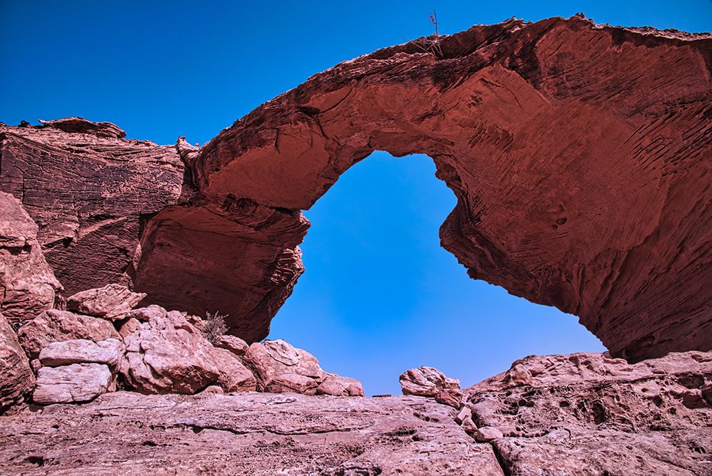 Photograph by Abbas ALhassoni