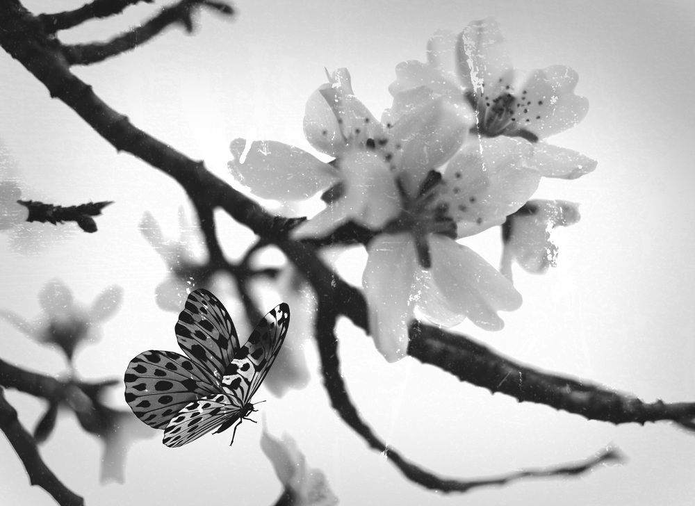 Photograph by Ana Gonzalez