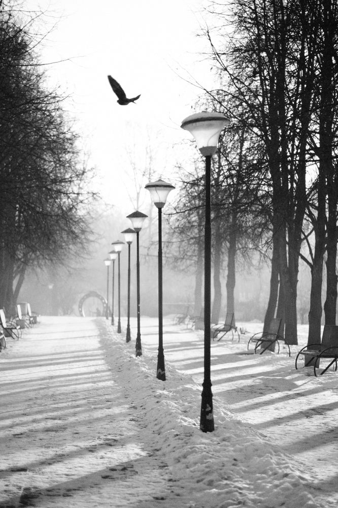 Photograph by Алексей Червяков