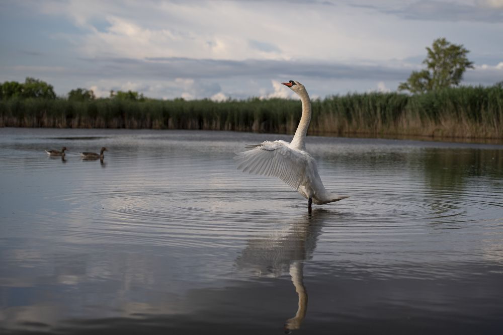 Photograph by Alena Bednářová