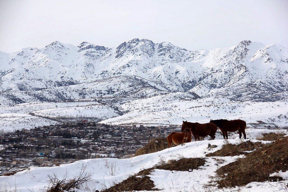 Photograph by Юлия Голубкова