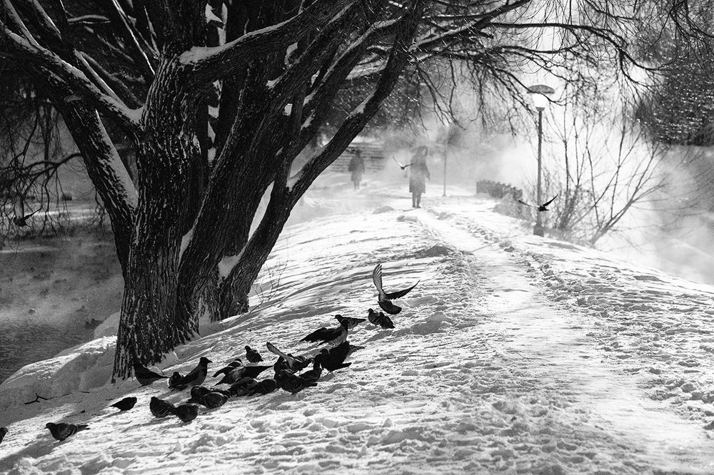 Photograph by Алексей Червяков