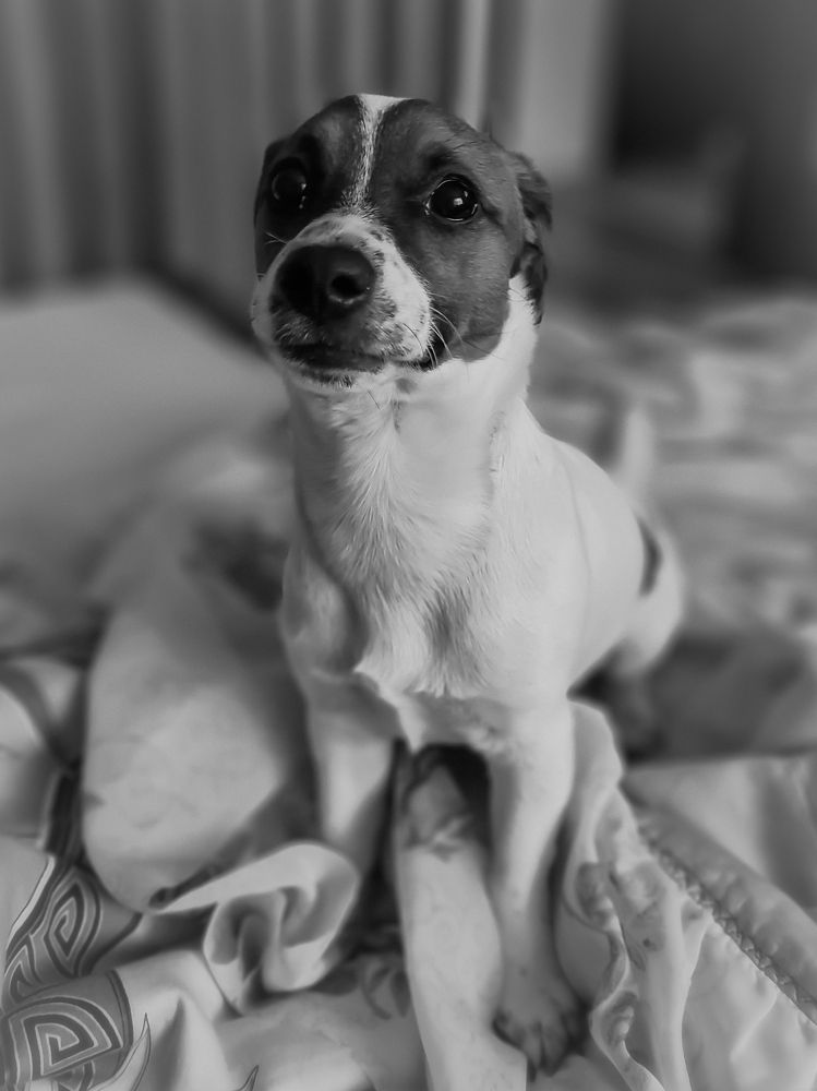 Photograph by Anastasiia