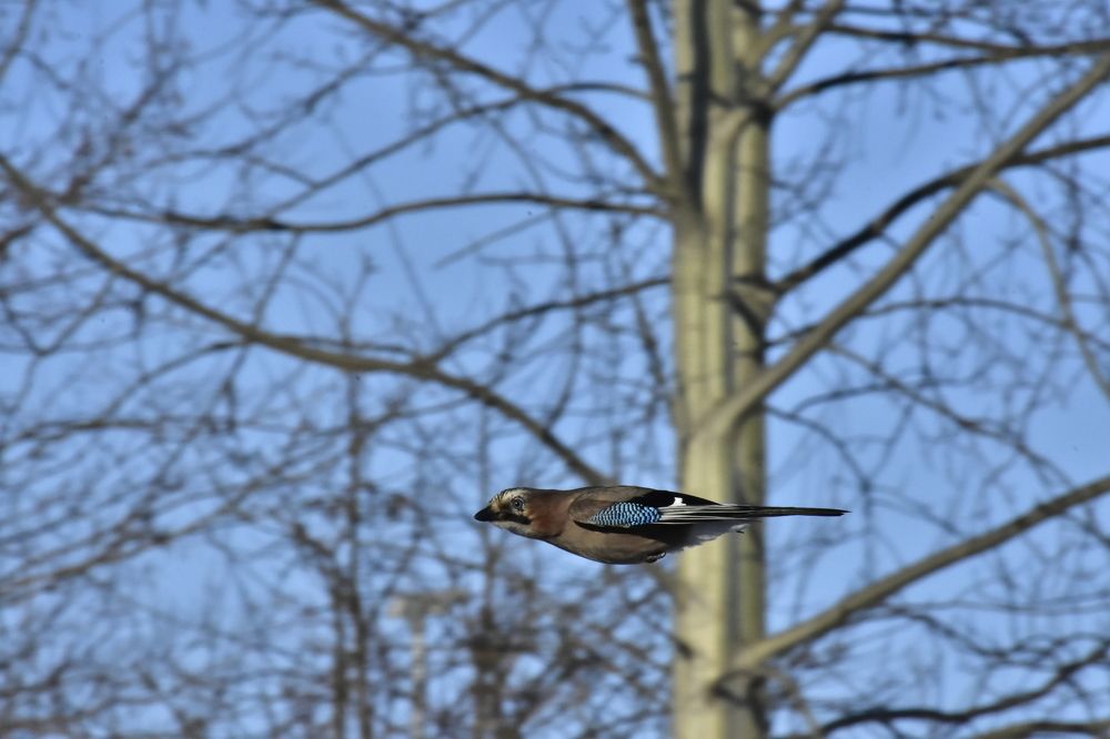 Фотография автора Инна Субботина