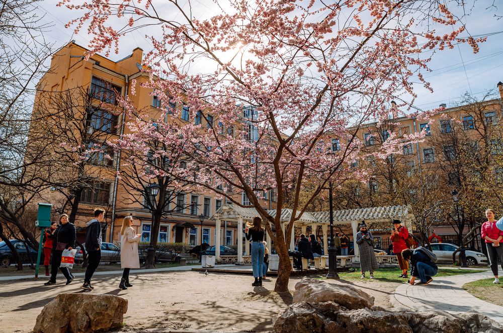 Photograph by Мария Новоселецкая