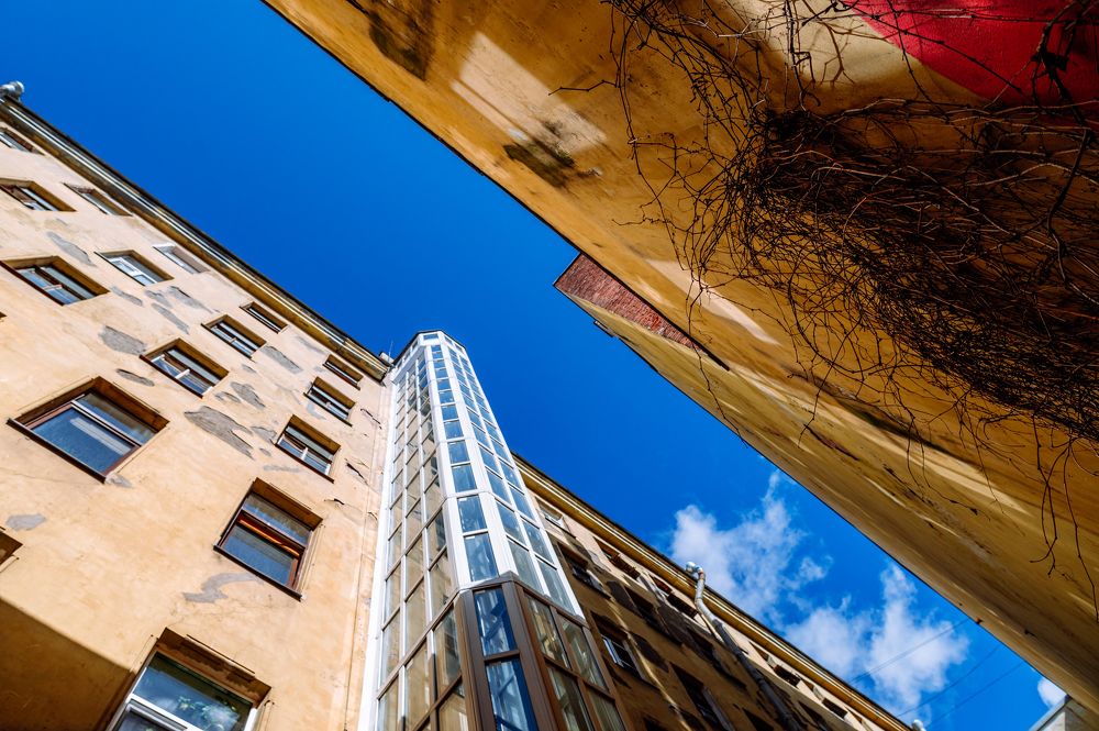 Photograph by Мария Новоселецкая