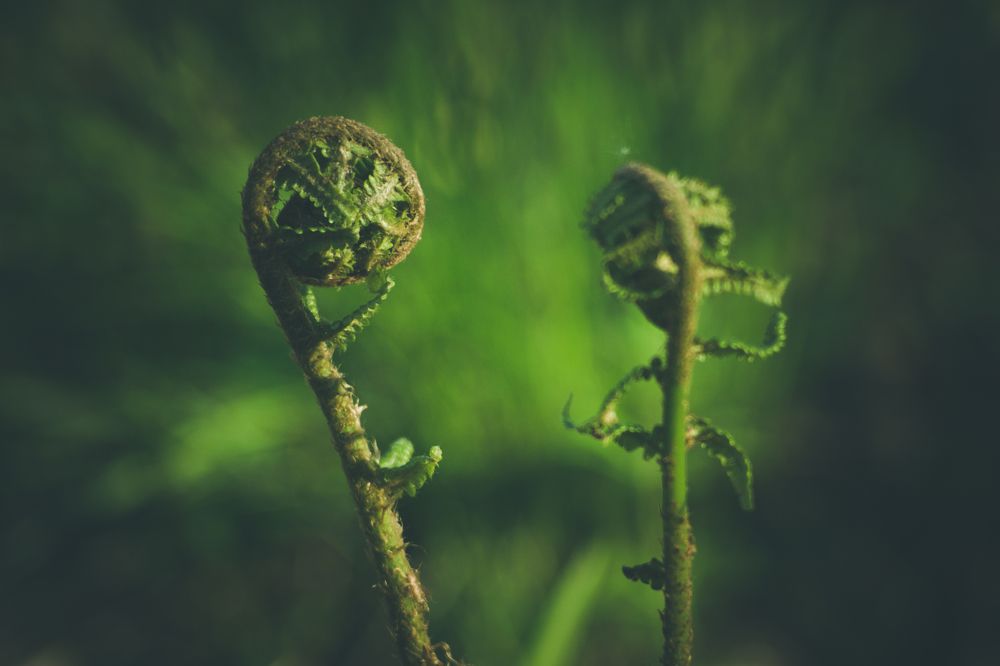 Photograph by Wiktor Kulesa