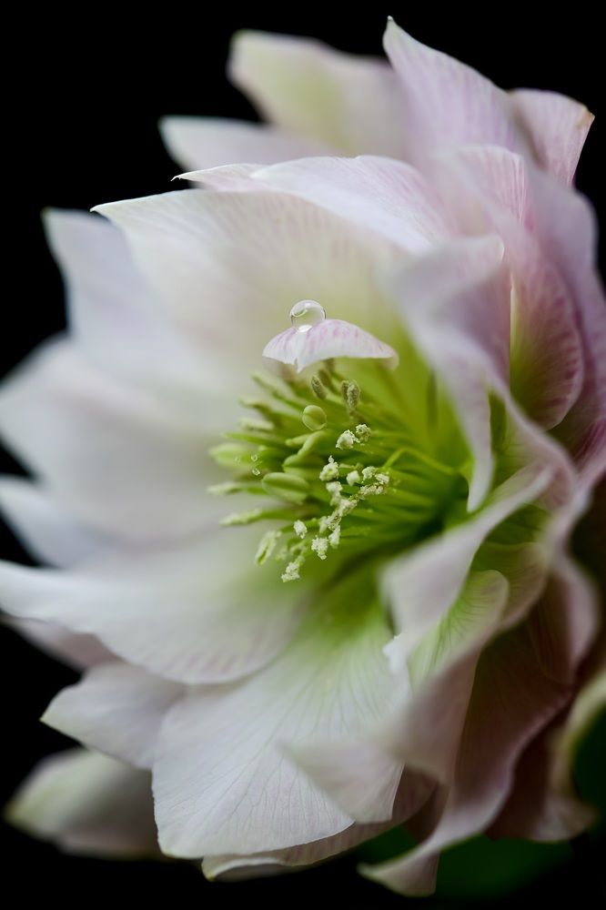 Photograph by Татьяна Кытина