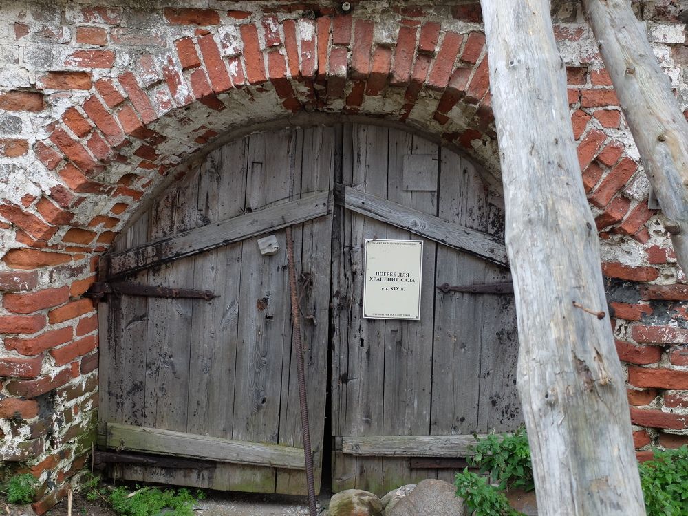 Photograph by Зоя