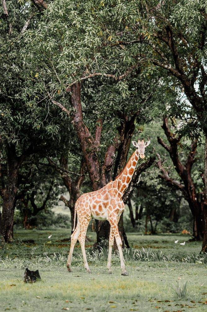 Photograph by Анастасия Сауль