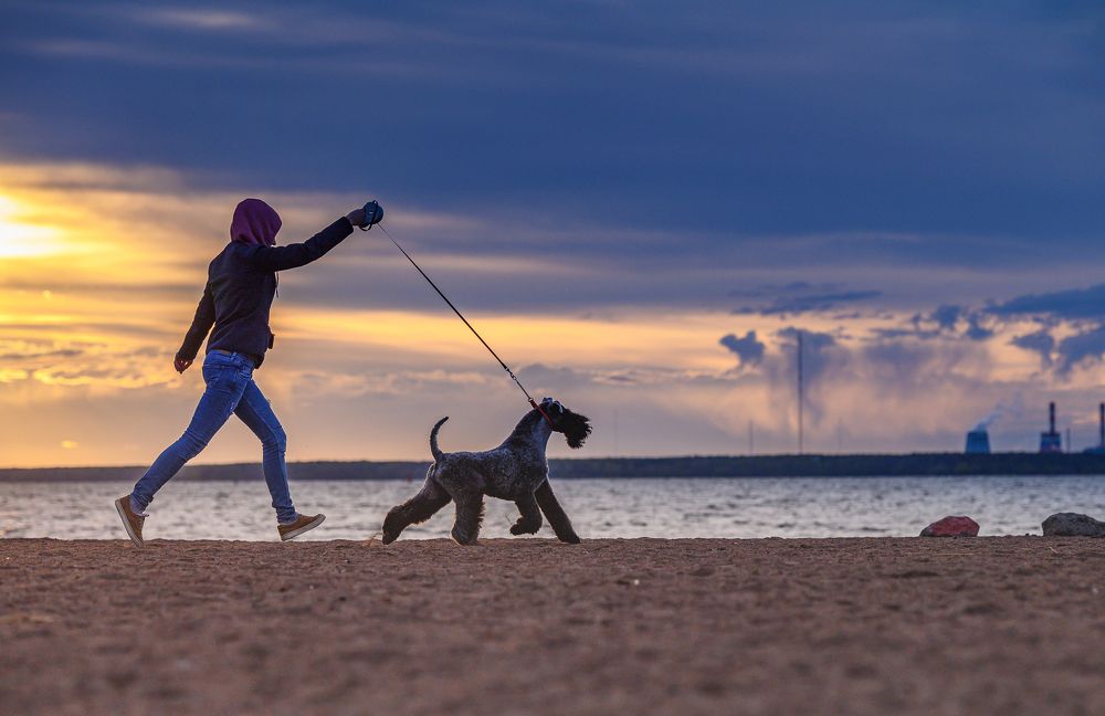 Photograph by Мария Новоселецкая