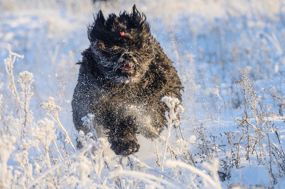 Photograph by Мария Новоселецкая