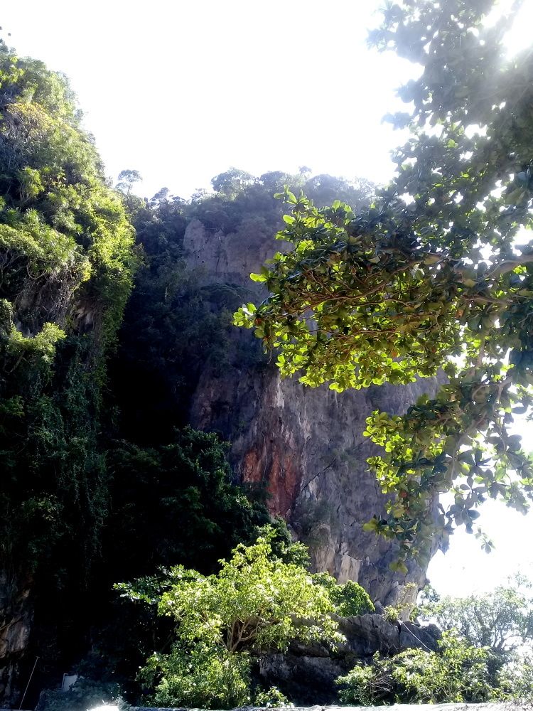 Photograph by Худякова Светлана Викторовна