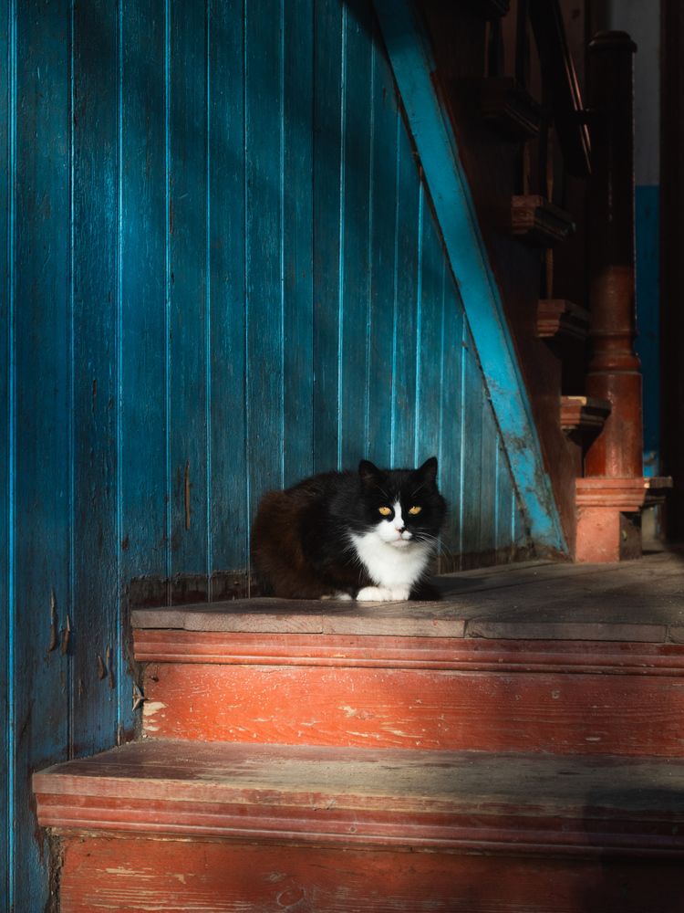 В старом подъезде