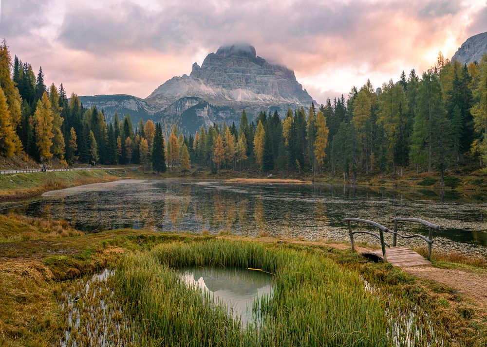 Фотография автора Вадим Жигулин
