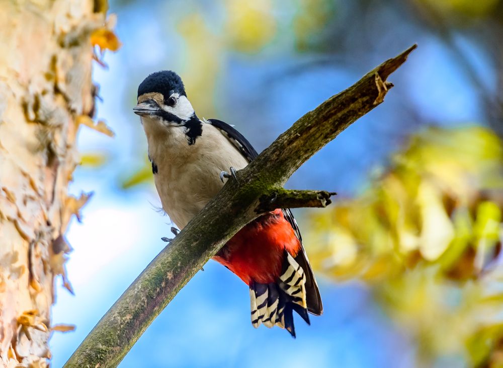 Photograph by Мария Новоселецкая