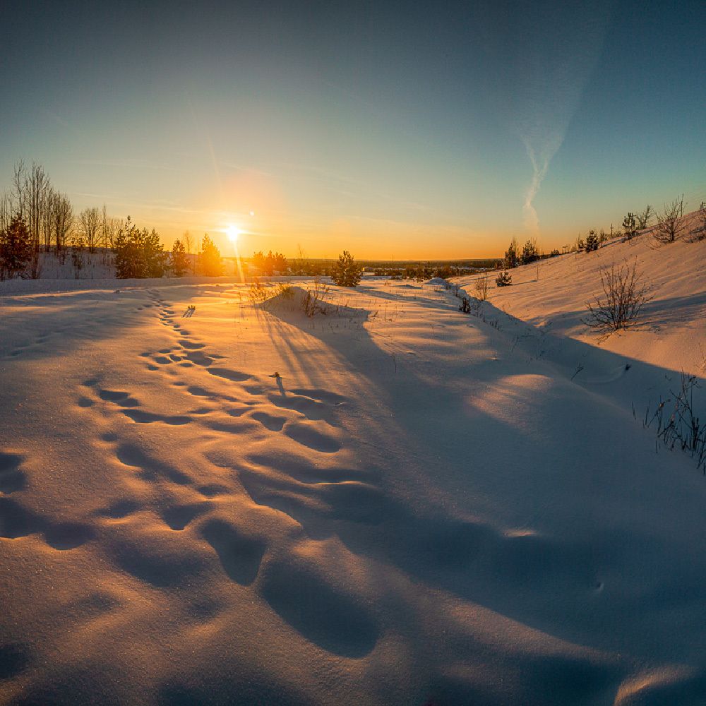Фотография автора Панагушин Сергей
