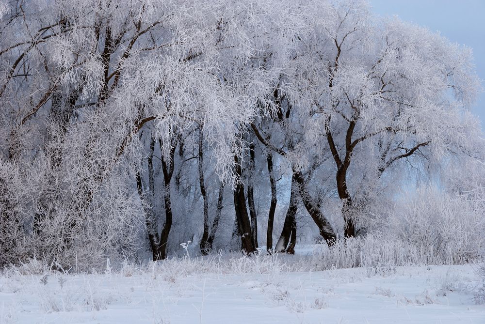 Photograph by Александр Калегин