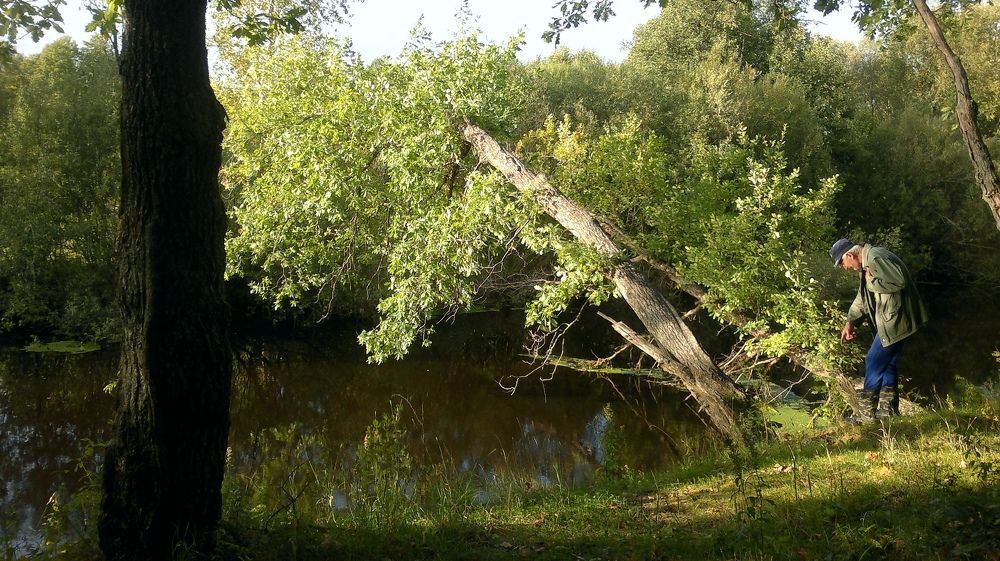 Search near the river