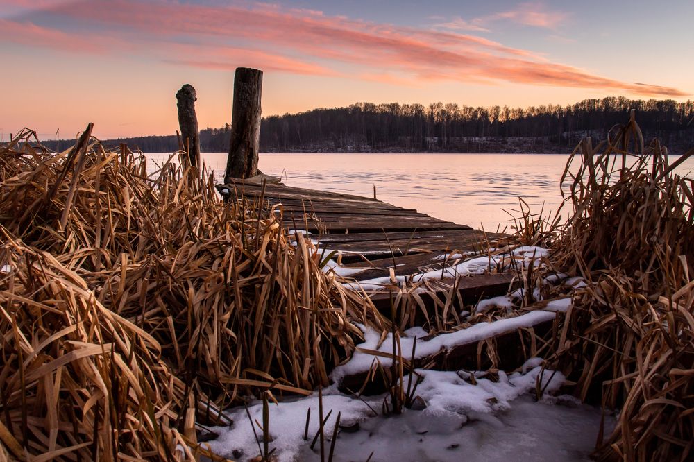 Photograph by Wiktor Kulesa