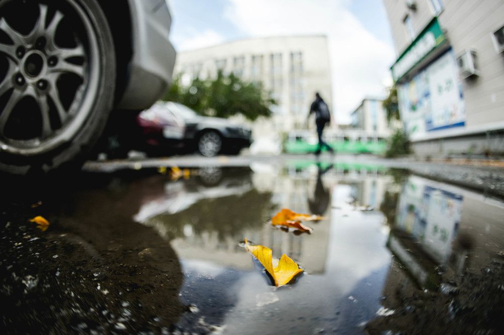 Осенние будни