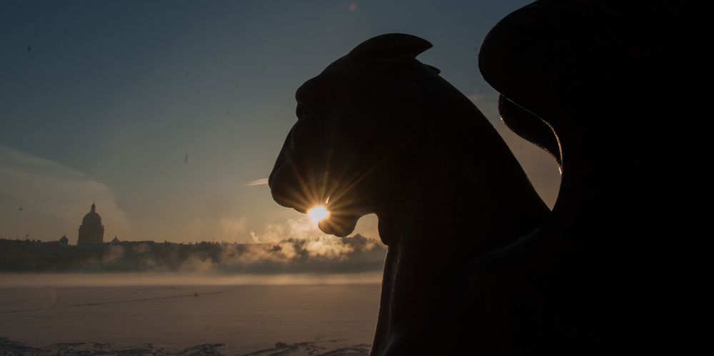 Photograph by Сафронова Любовь