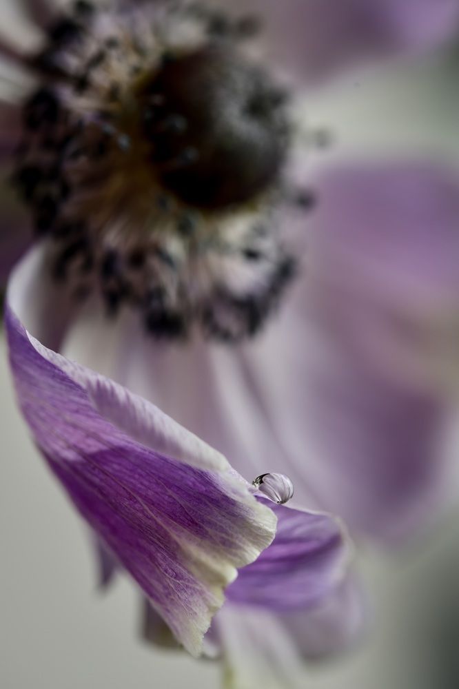 Photograph by Татьяна Кытина