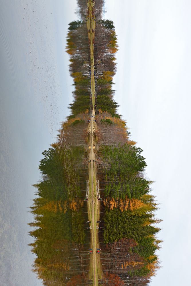 Photograph by Carlo Rondinone