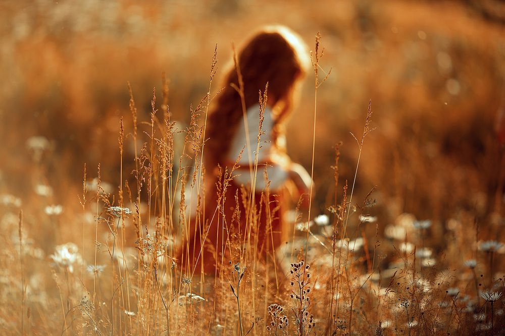 Ах,ромашки!!!