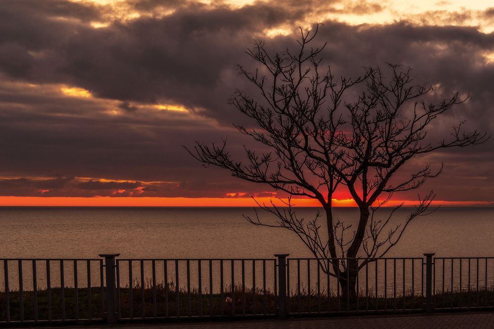 Photograph by Второй Александр