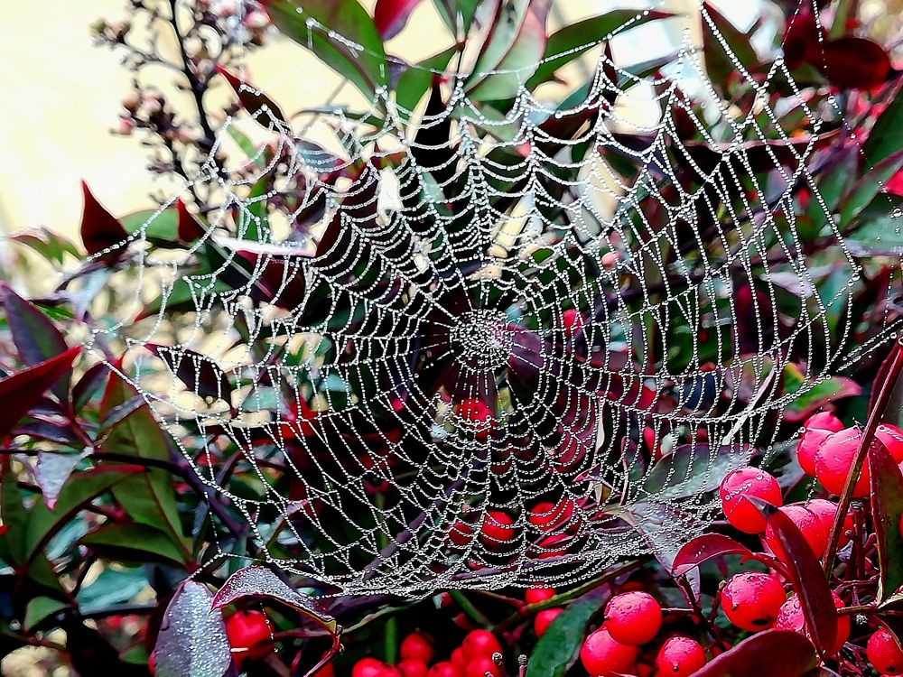 Photograph by Carlo Rondinone