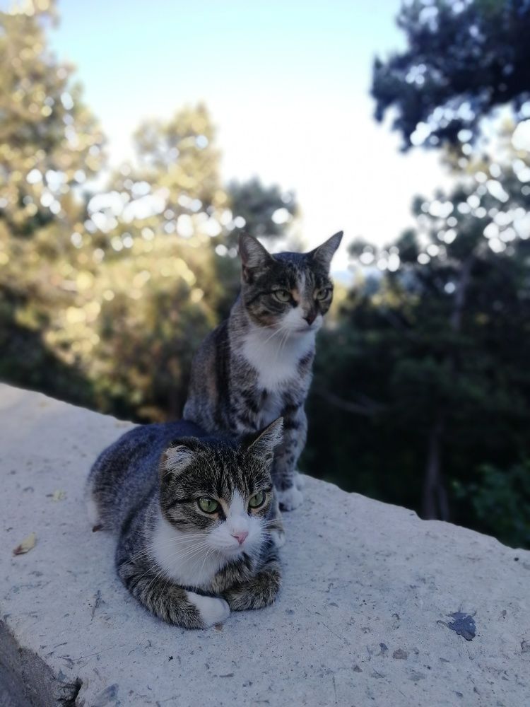 Photograph by Оксана Смирнова