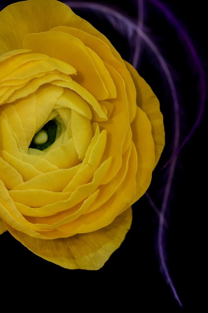 Photograph by Татьяна Кытина