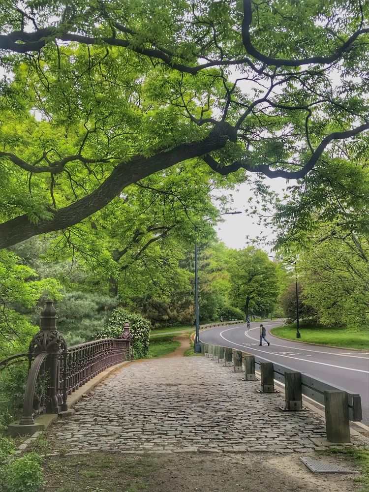 Photograph by Галина Ломако