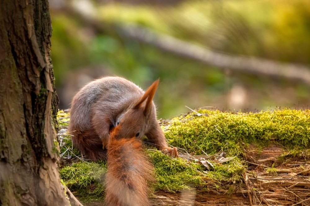 Photograph by Wiktor Kulesa