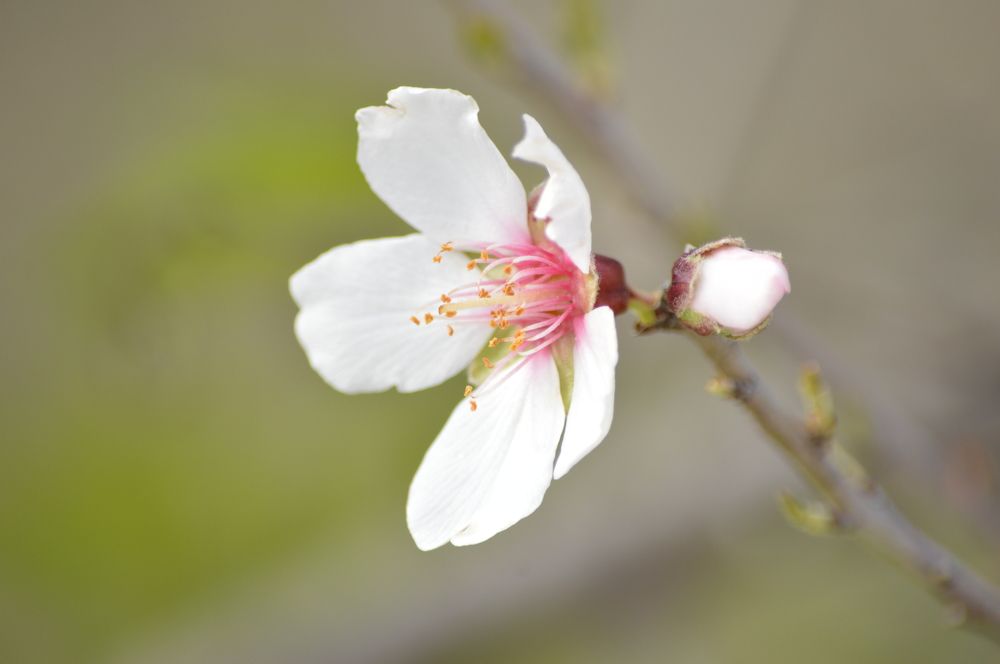 Photograph by Agnieszka