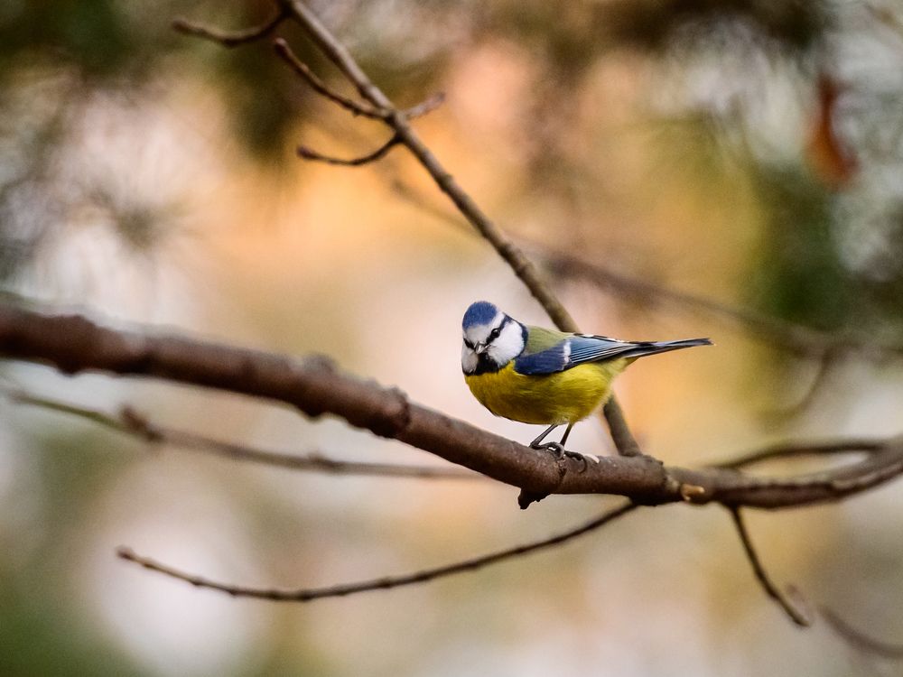 Photograph by Мария Новоселецкая